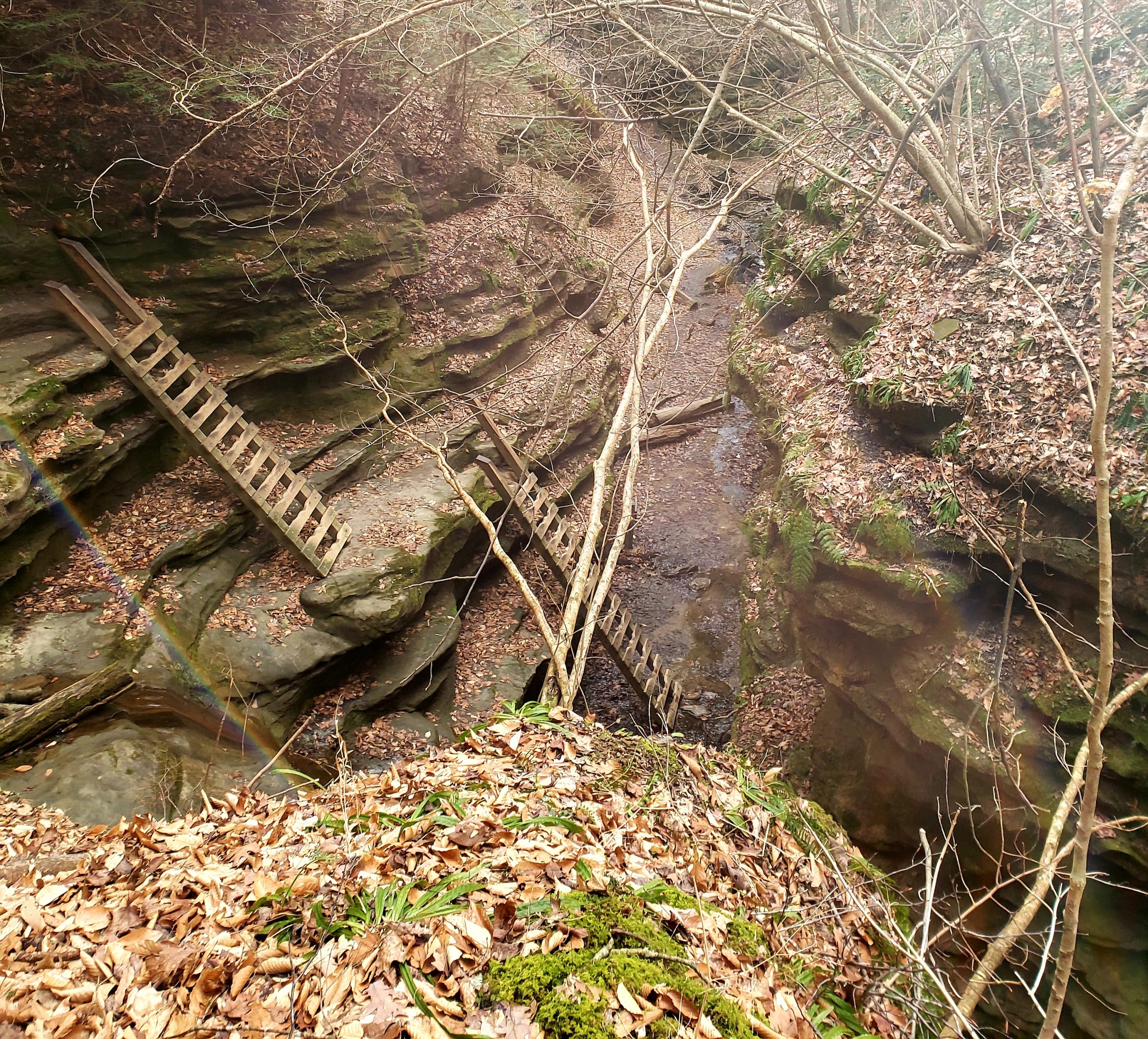 Ladders leading to a gorge