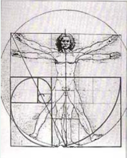 DaVinci's David with the Golden Spiral transcribed over it