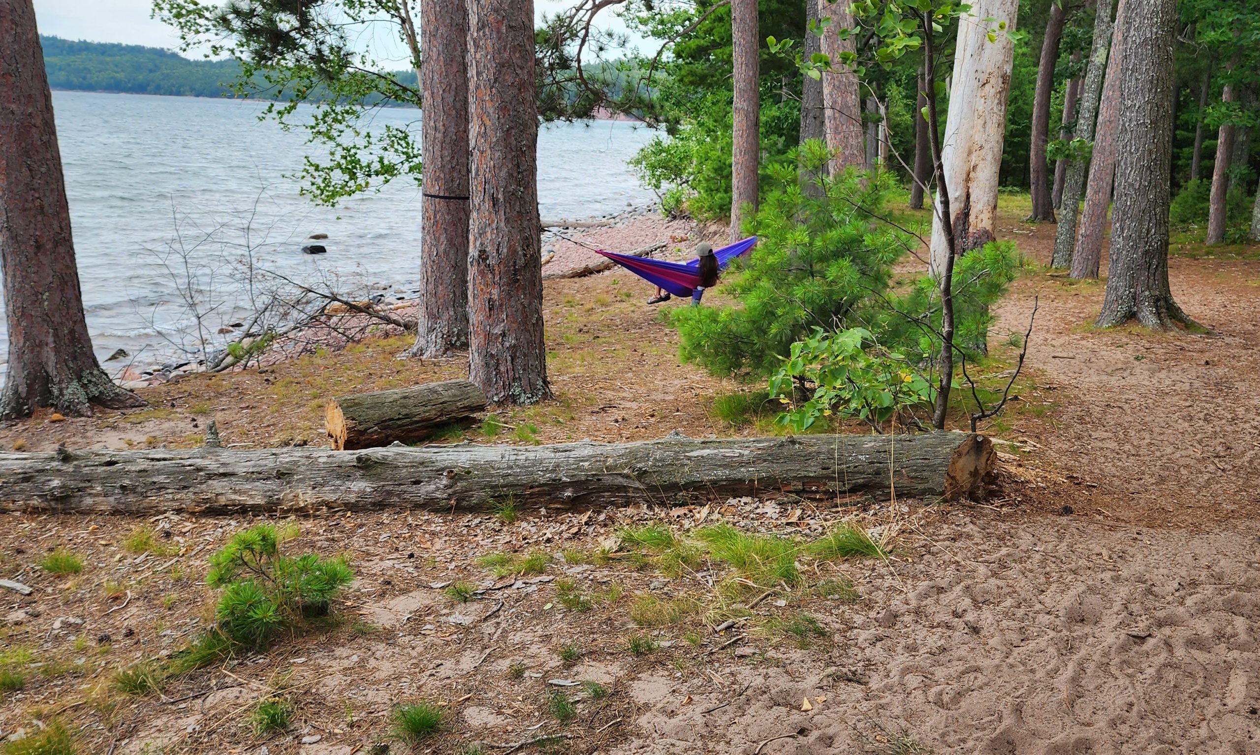 Person in hammock by lake