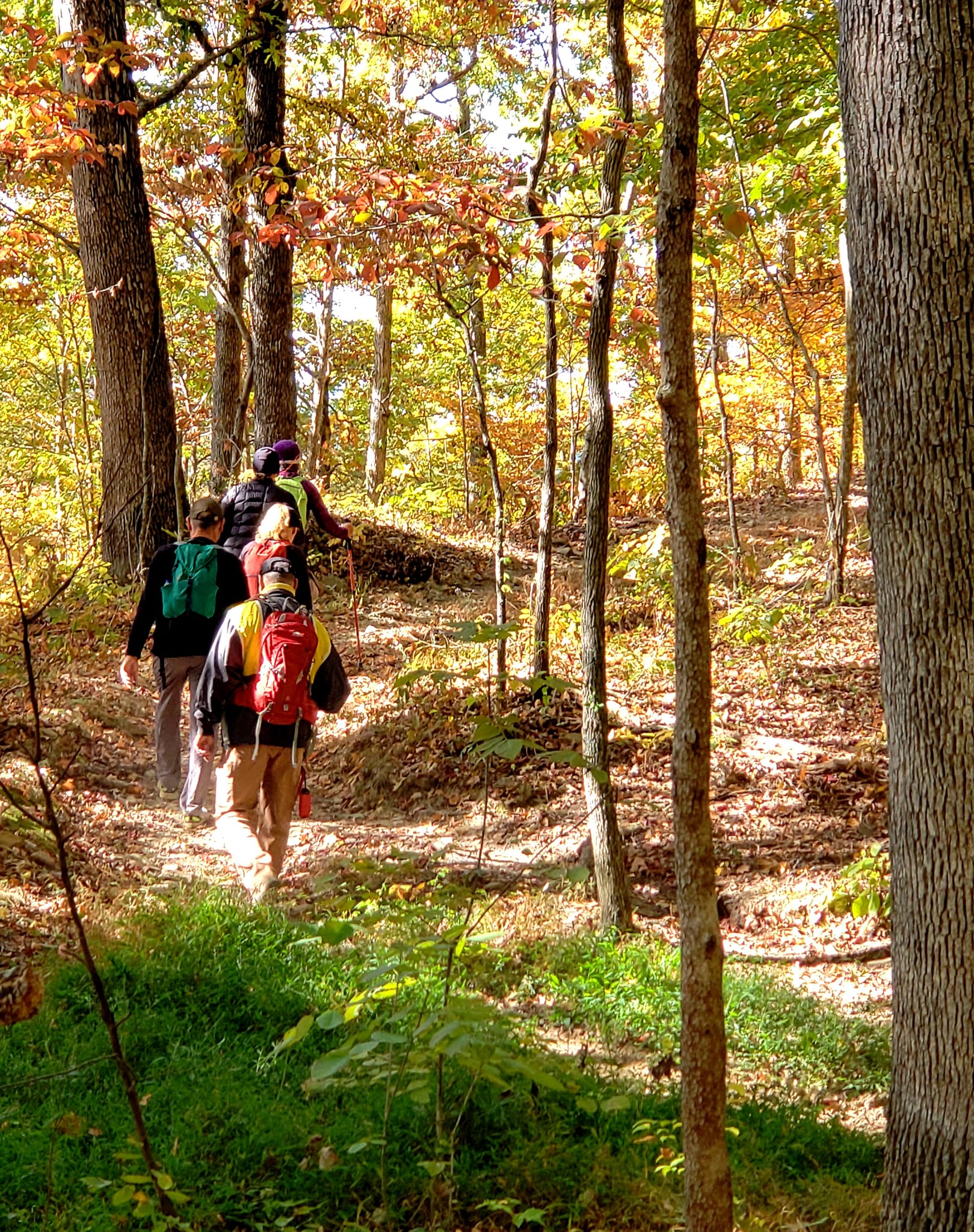 Several hikers photographed from behind as they snake along a trail