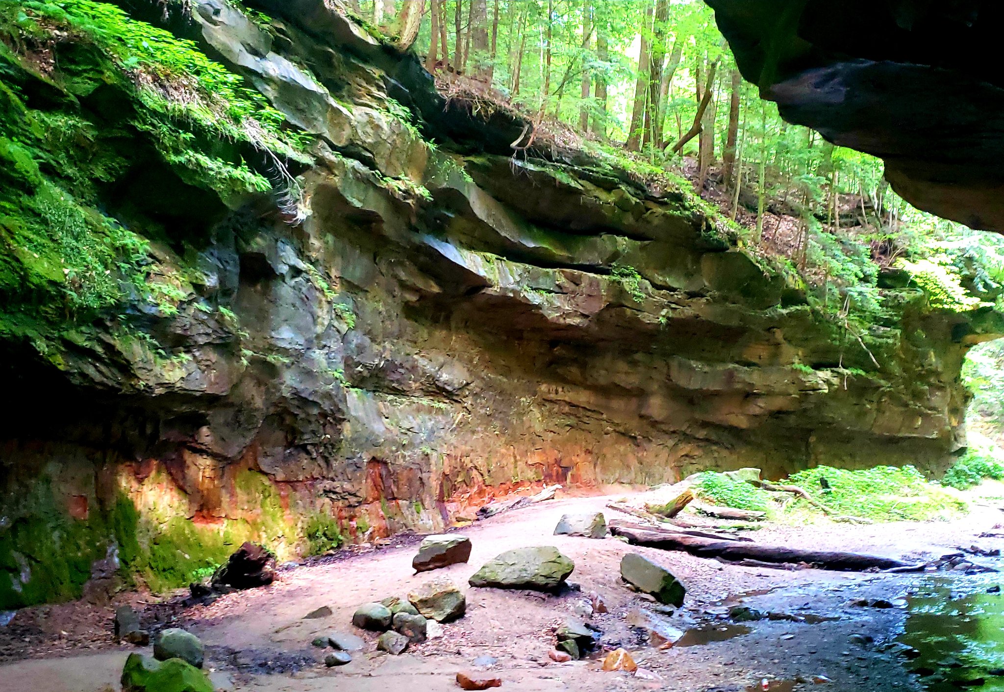 Rock shelf in a ravine with multi-colored minerals creating a pretty pattern