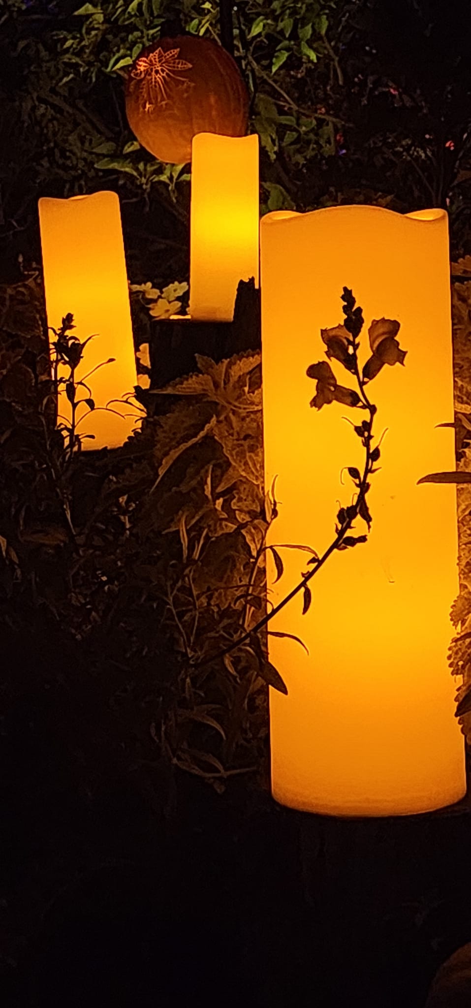 Lit, golden, decorative candles displayed along a path of an outdoor garden at night