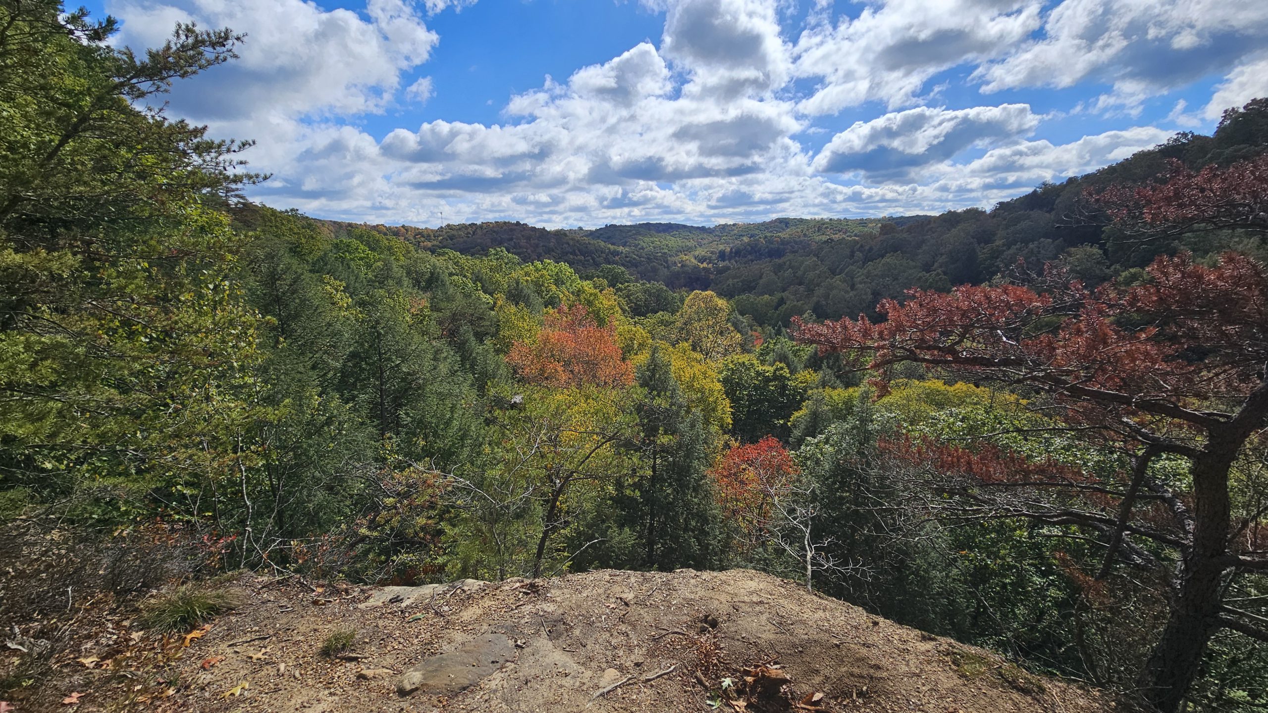 Looking over rolling hills of fall peak leaves just turning color.