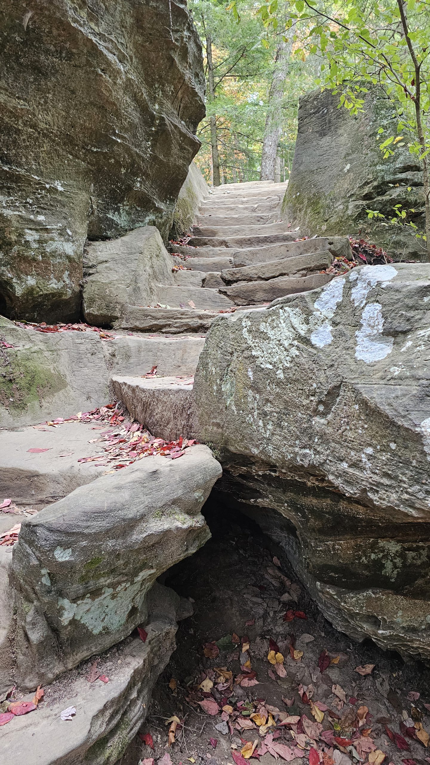 Stone steps carved into large stone with red leaves on the steps