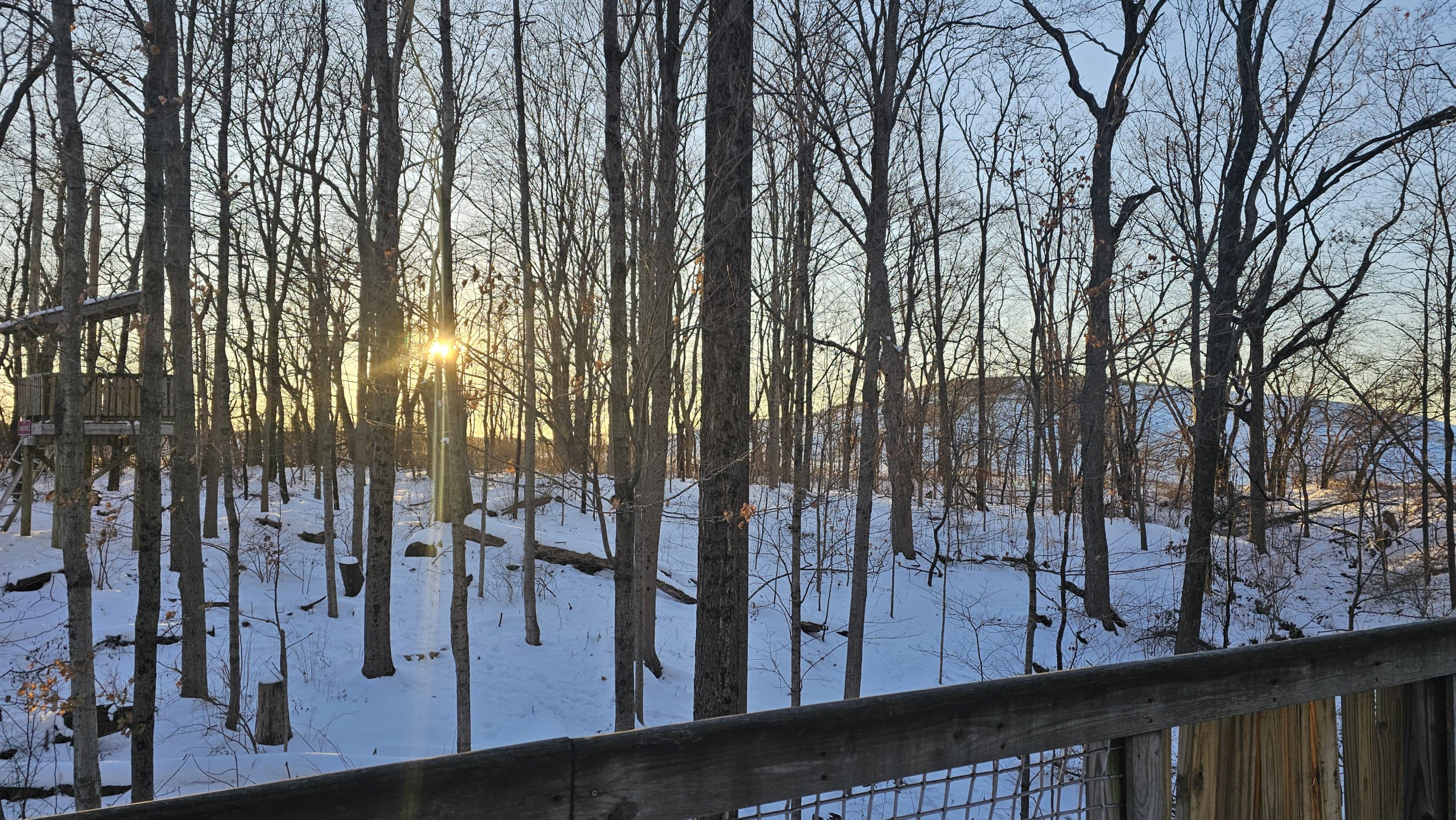 Sunsetting over a trail in the woods in winter with snow on the ground and a hill in the background